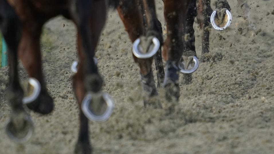 US horse racing
